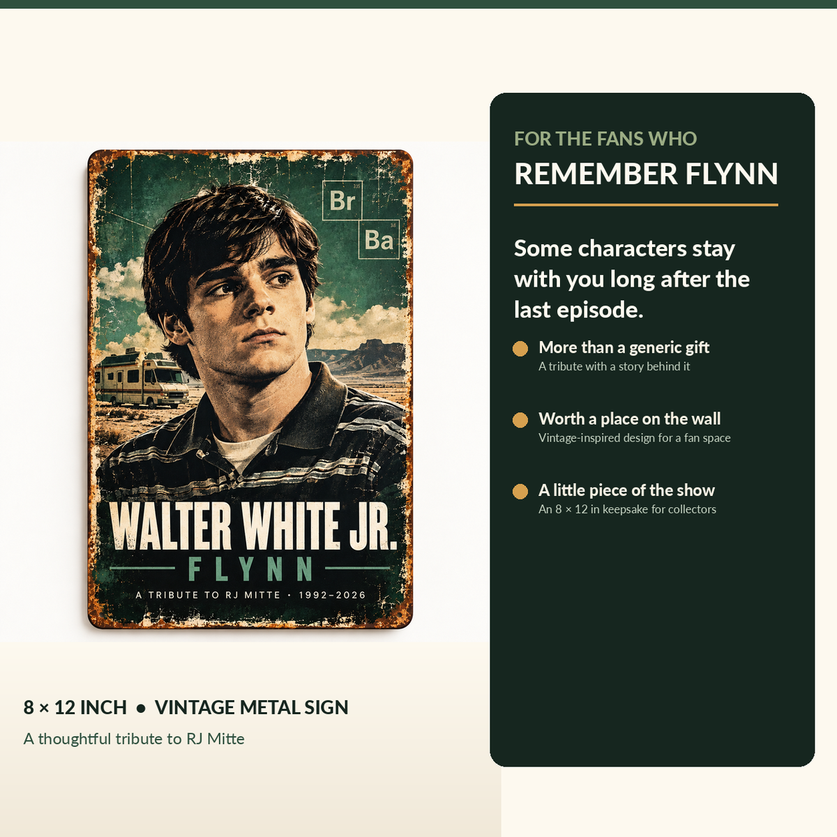 Breaking Bad Walter White Jr Flynn metal sign no-hole design with nostalgic fan gift and remembrance message