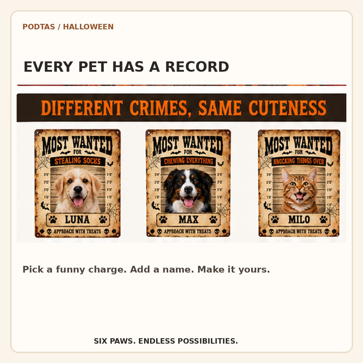Pet wanted poster examples featuring dogs and a cat