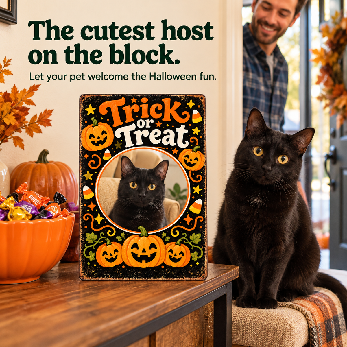 Black cat beside a Trick or Treat photo metal sign and Halloween candy bowl; illustrative lifestyle mockup.
