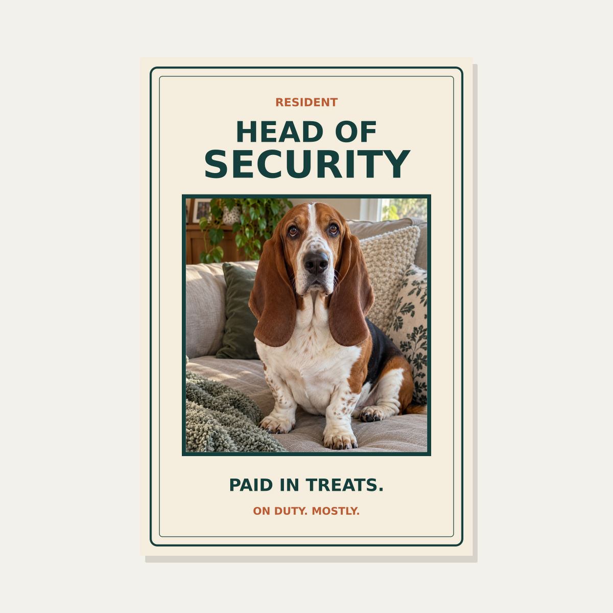 head of security exact proportion example with one original photo — illustrative graphic