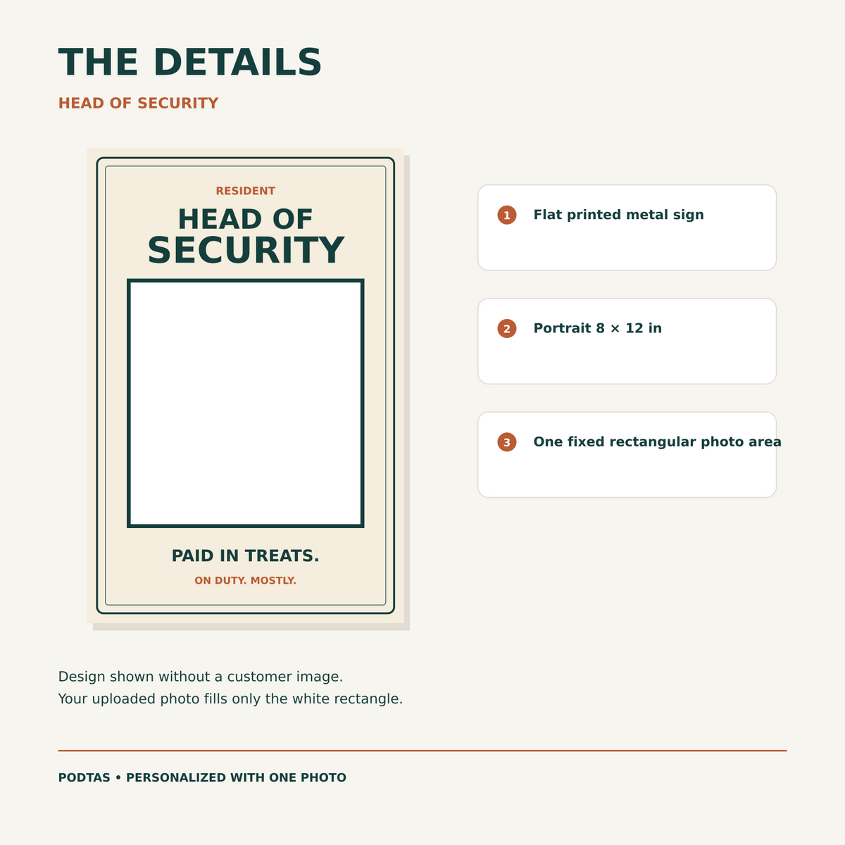 head of security product details and material — illustrative graphic