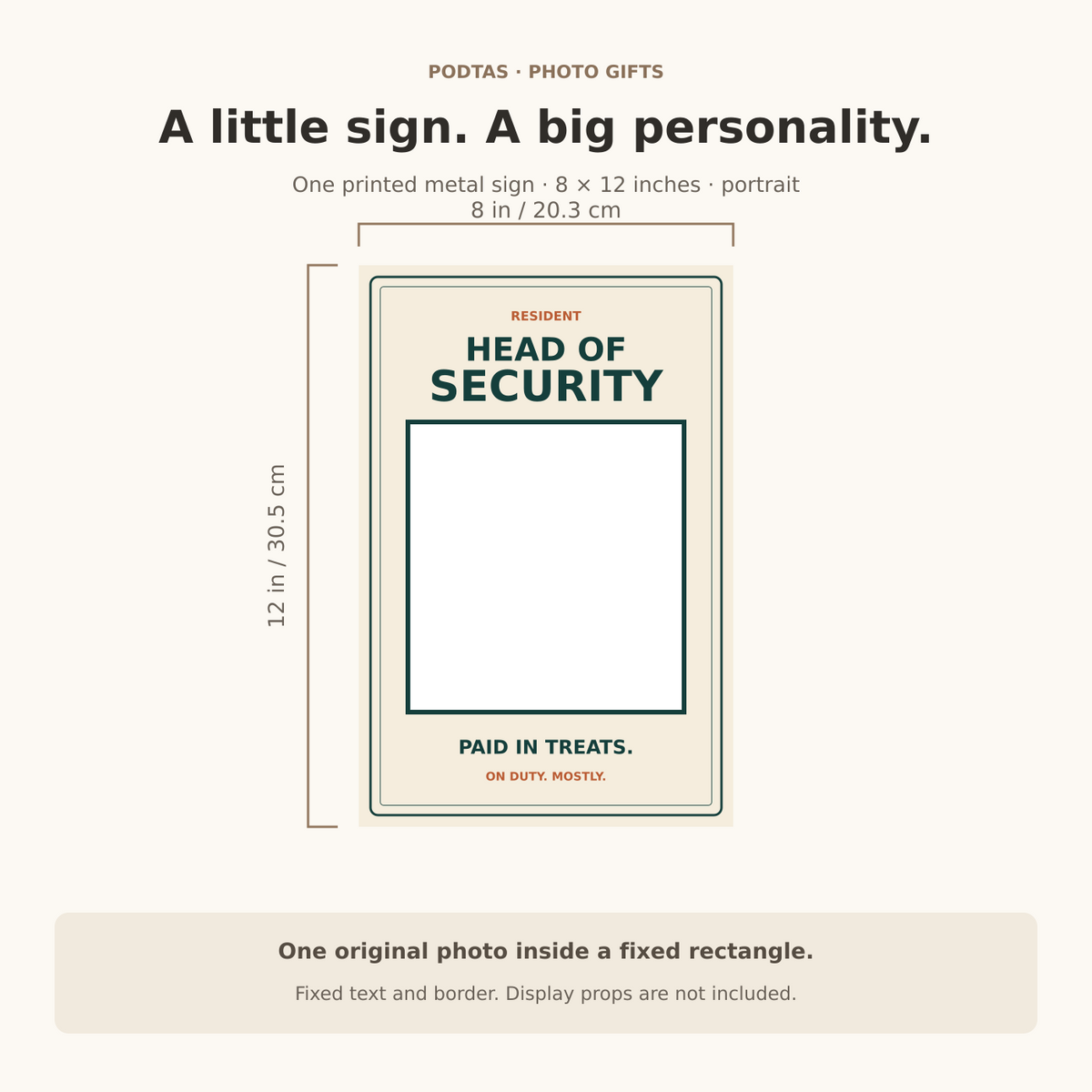 head of security 8 by 12 inch size guide — illustrative graphic
