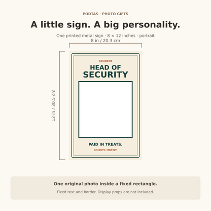 head of security 8 by 12 inch size guide — illustrative graphic